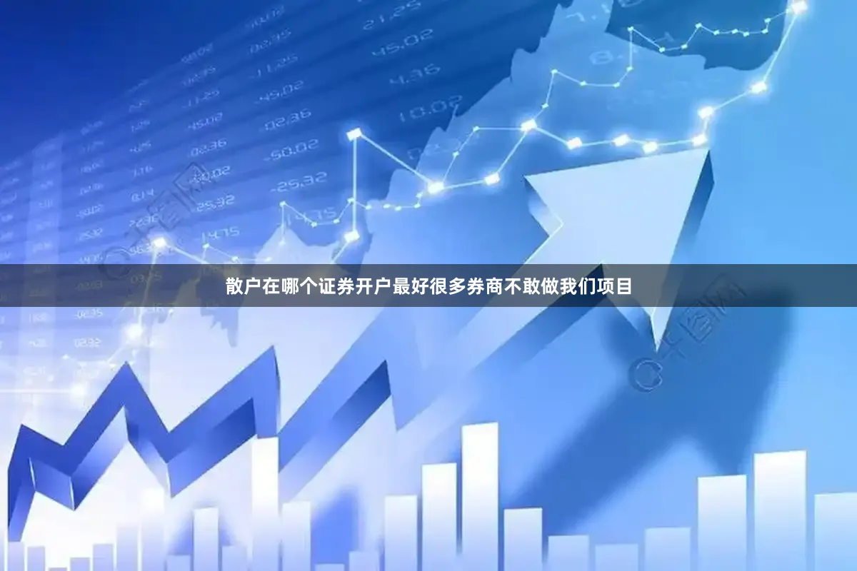 散户在哪个证券开户最好很多券商不敢做我们项目