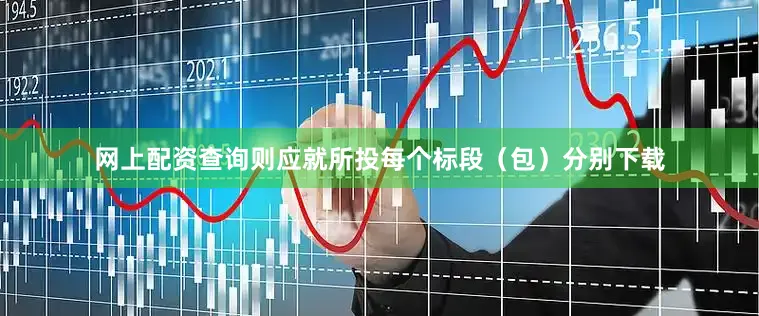 网上配资查询则应就所投每个标段(包)分别下载