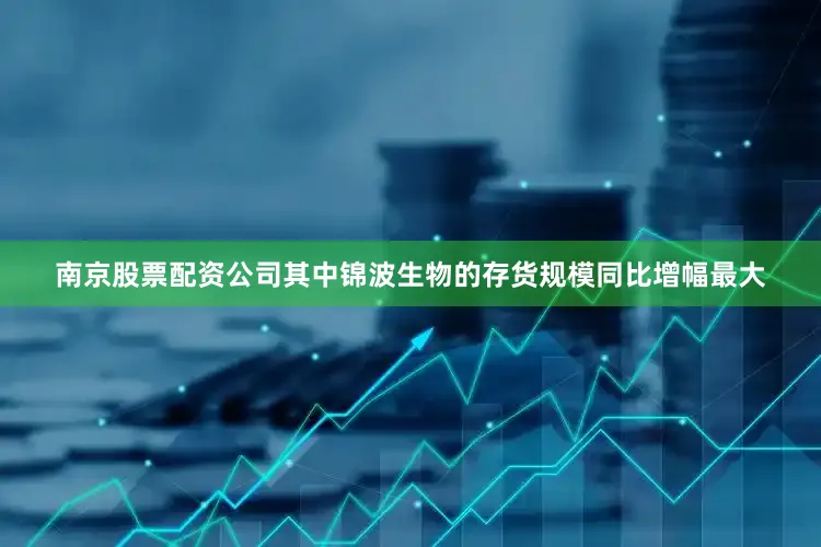 南京股票配资公司其中锦波生物的存货规模同比增幅最大
