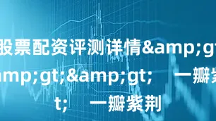 股票配资评测详情&gt;&gt;&gt;    一瓣紫荆